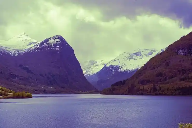 去美国护照办要多少钱？申请费用与流程