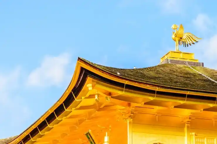香港永居条件，了解香港永居的申请条件与流程