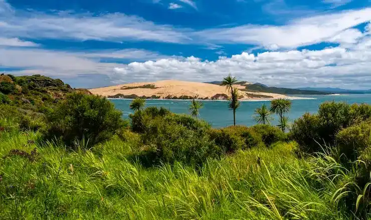 圣卢西亚移民投资价值身份+税务双红利