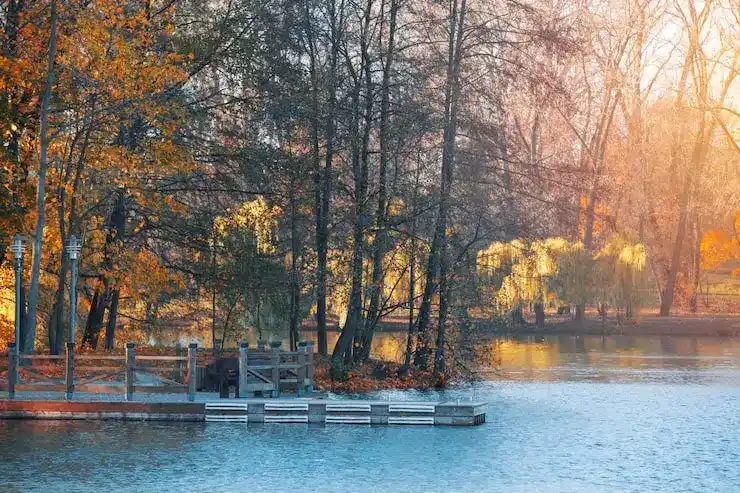 收养子女随行申请西班牙移民需要提供哪些额外证明文件？