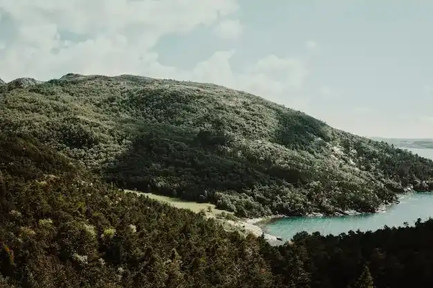 葡萄牙护照免签优势，全球通行与欧盟权益详解