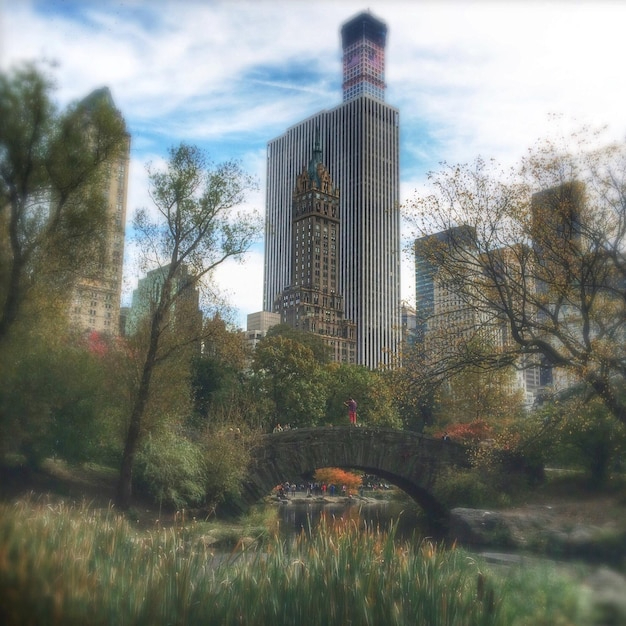 OPT签证