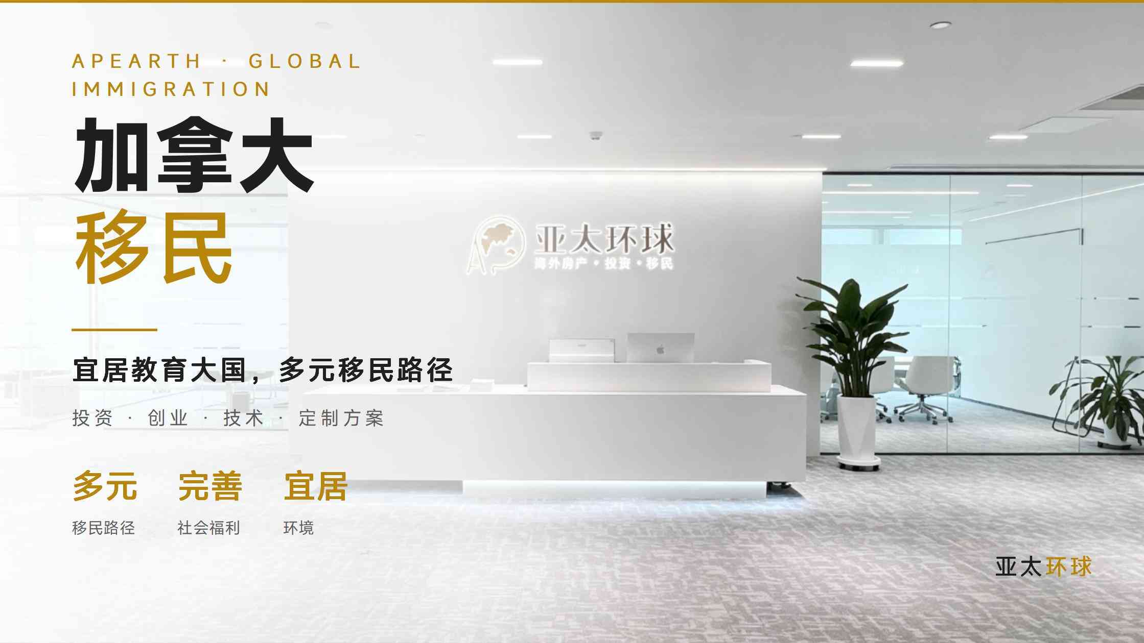多米尼克护照2026捐款方案