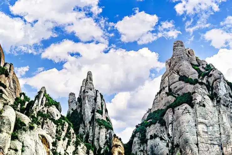 欧洲移民后可以享受哪些医疗福利？