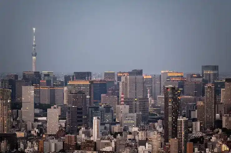 芬兰移民政策与好申请路径