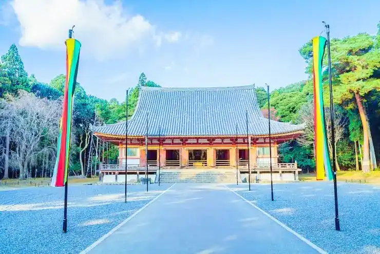 选择澳大利亚当移民的教育与就业机会