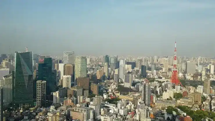 破产移民的法律问题与解决方案