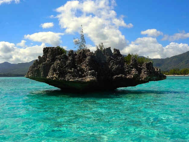 希腊驻华大使馆最新通知：签证及移民相关领事服务指南