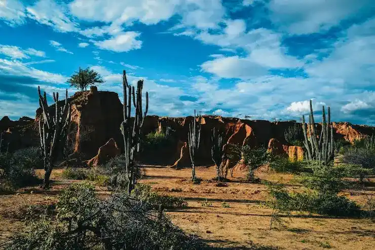 超龄子女（18岁以上仍在读）如何继续保留匈牙利身份？