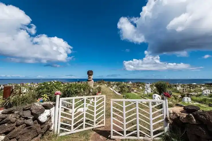 圣卢西亚移民费用分期支付，原则性批复后的支付安排如何进行？