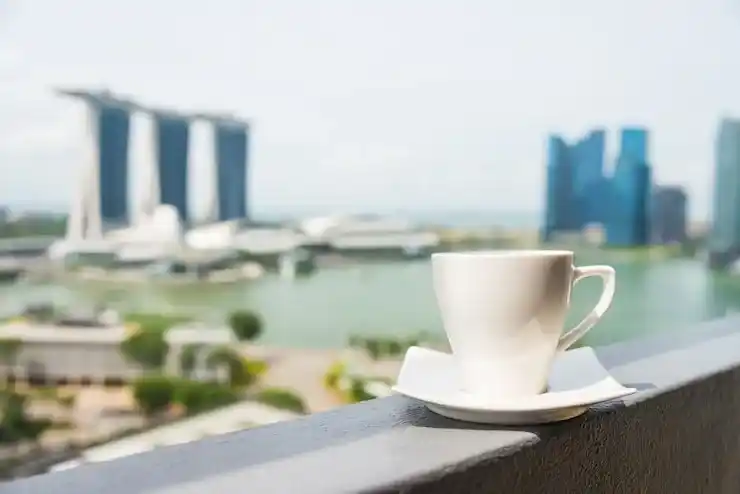 新加坡移民真实费用揭秘，不含基金管理费