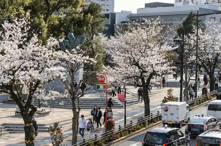 马尔他移民房产税，购房后可能涉及的税务问题