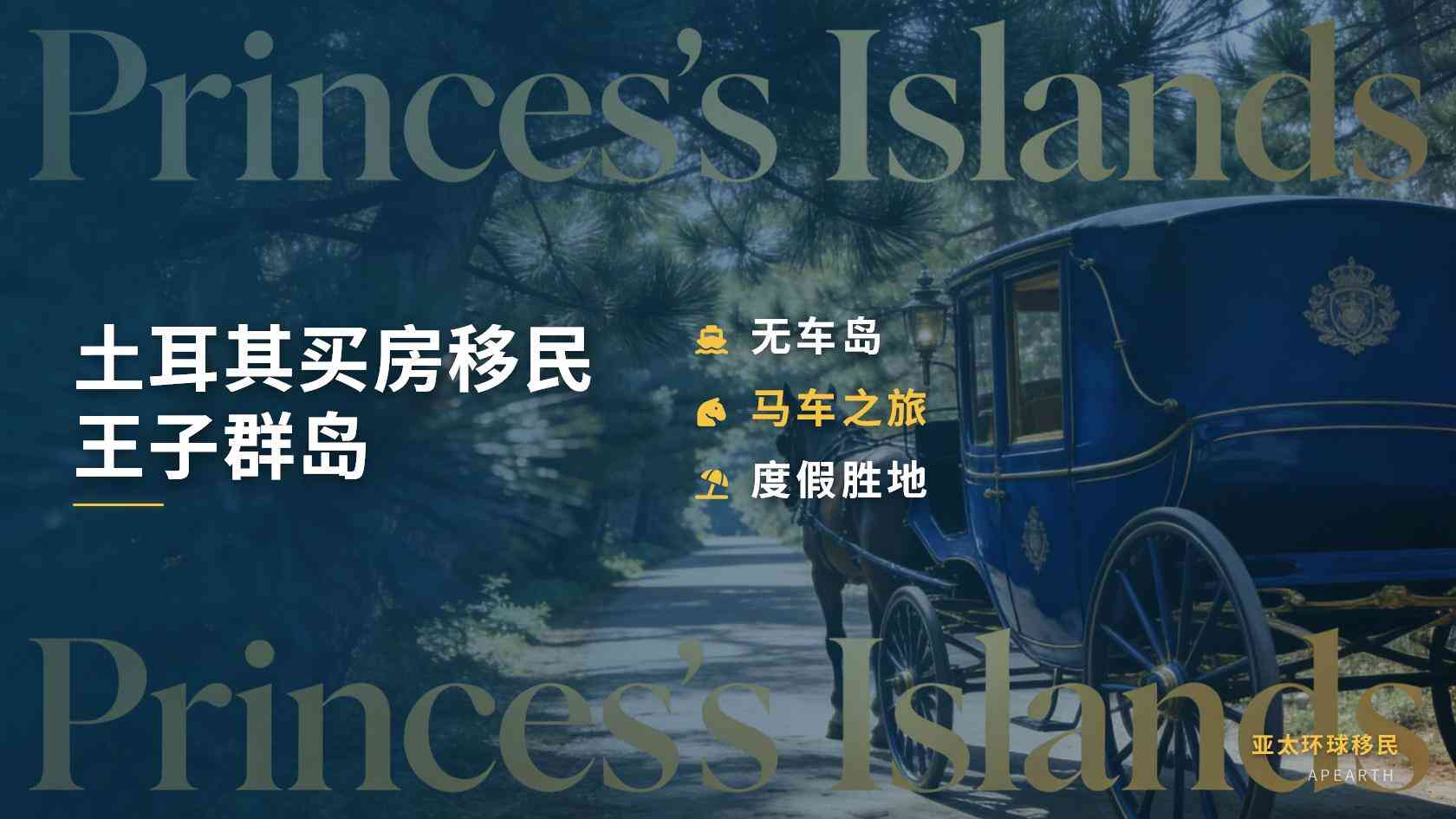 移民土耳其后子女教育路径选择：国际学校与本地学校怎么衔接