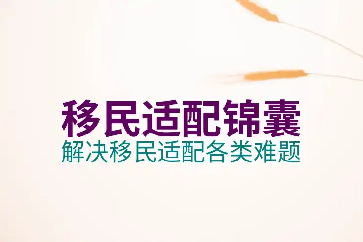 迪拜移民条件与申请要求解析