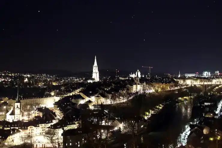 填写瓦努阿图电子移民申请表时，有哪些常见错误需要避免？