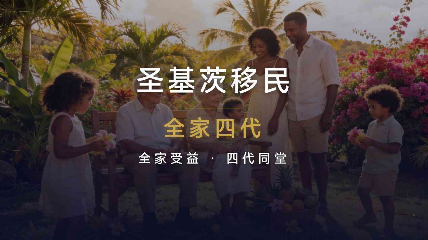 圣基茨护照能免签哪些地方？2026年出行权益应该怎么核实
