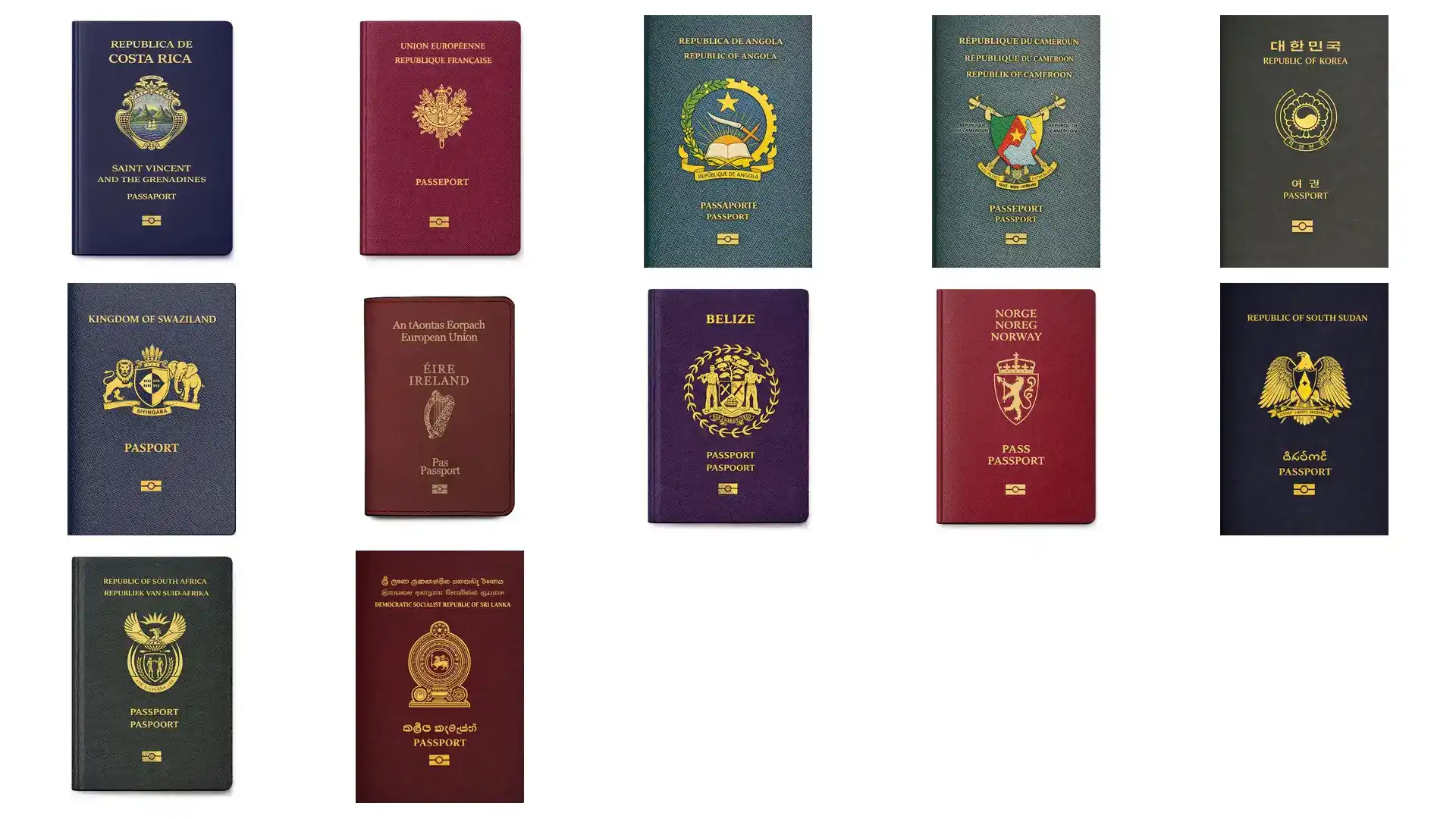 没有语言学历要求：2026年捐款类护照移民条件及费用一览