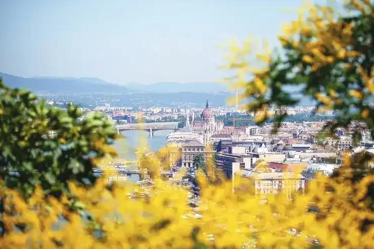 马绍尔投资入籍是直接获得护照吗？无需先拿居留再转公民？