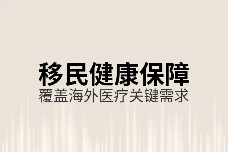 移民德国后的职业机会与生活质量