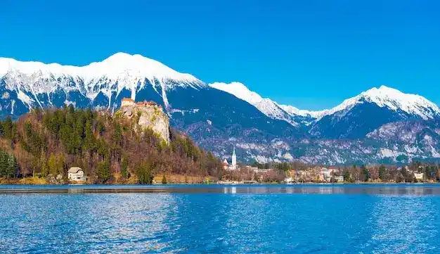 2026年适合带父母的移民费用和政策