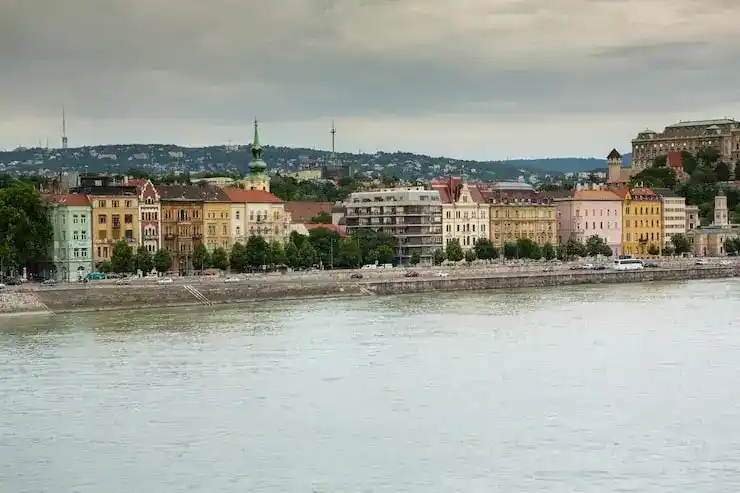 多米尼克移民项目