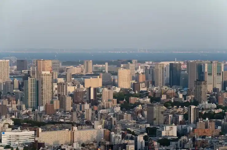 格林纳达商业投资项目申请流程及优势
