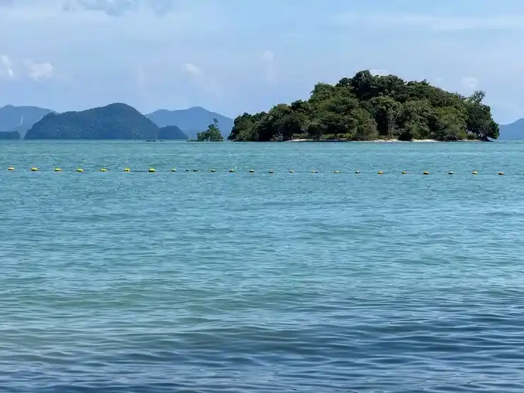 加拿大移民