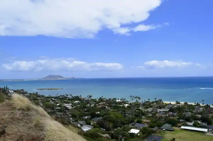 瓦努阿图移民的“无移民监”政策，到底是什么意思？